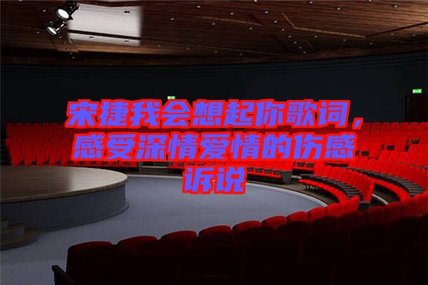 宋捷我會(huì)想起你歌詞，感受深情愛情的傷感訴說