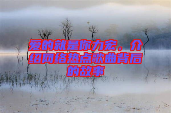 愛的就是你力宏，介紹網(wǎng)絡(luò)熱點歌曲背后的故事