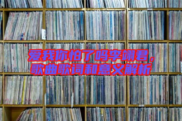 愛我你怕了嗎李翊君，歌曲歌詞和意義解析