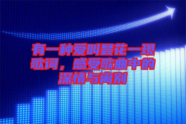 有一種愛叫曇花一現(xiàn)歌詞，感受歌曲中的深情與離別