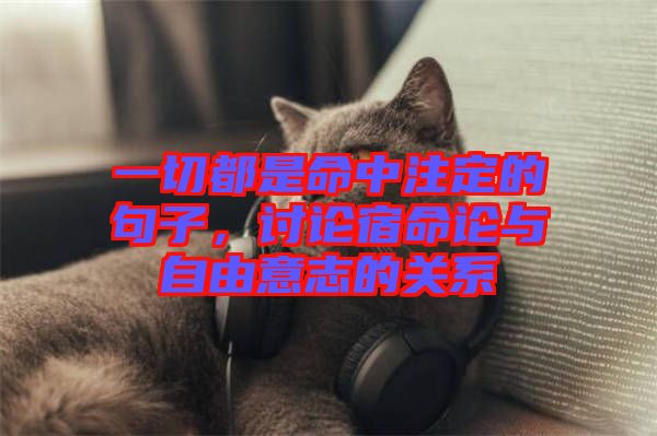 一切都是命中注定的句子，討論宿命論與自由意志的關系