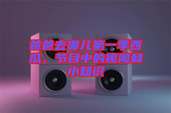 爸爸去哪兒第一季西瓜，節(jié)目中的趣聞和小知識(shí)