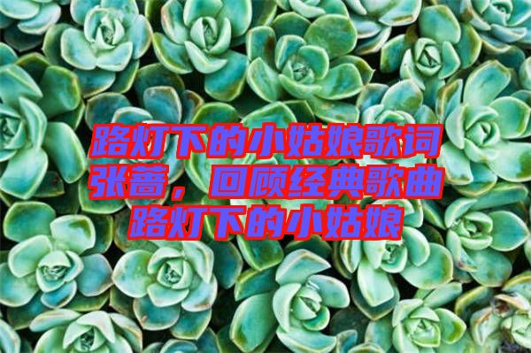 路燈下的小姑娘歌詞張薔，回顧經(jīng)典歌曲路燈下的小姑娘