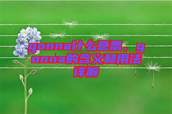 gonna什么意思，gonna的含義和用法詳解