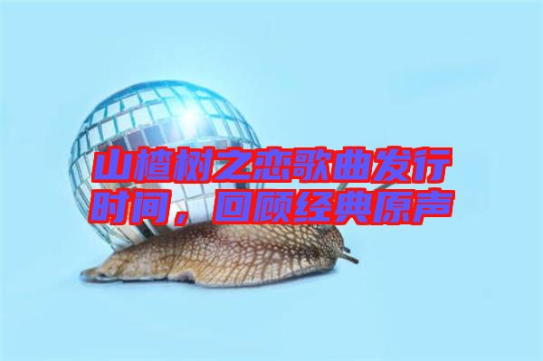 山楂樹之戀歌曲發(fā)行時(shí)間，回顧經(jīng)典原聲