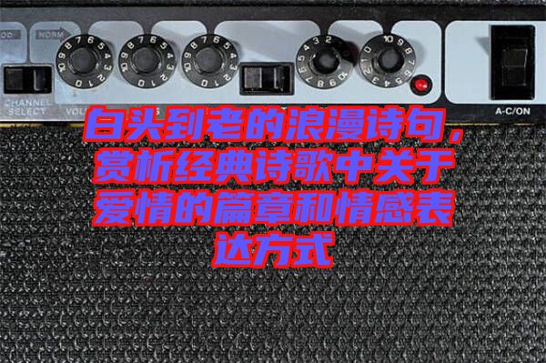 白頭到老的浪漫詩句，賞析經(jīng)典詩歌中關(guān)于愛情的篇章和情感表達(dá)方式