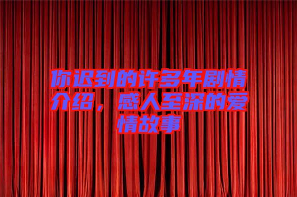你遲到的許多年劇情介紹，感人至深的愛情故事