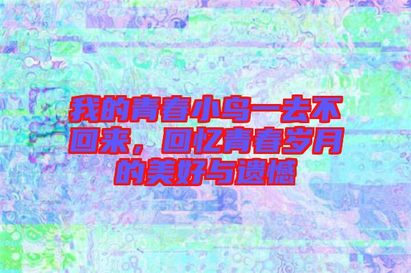 我的青春小鳥一去不回來，回憶青春歲月的美好與遺憾