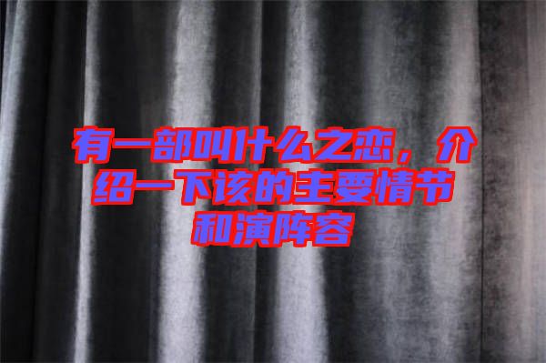 有一部叫什么之戀，介紹一下該的主要情節(jié)和演陣容