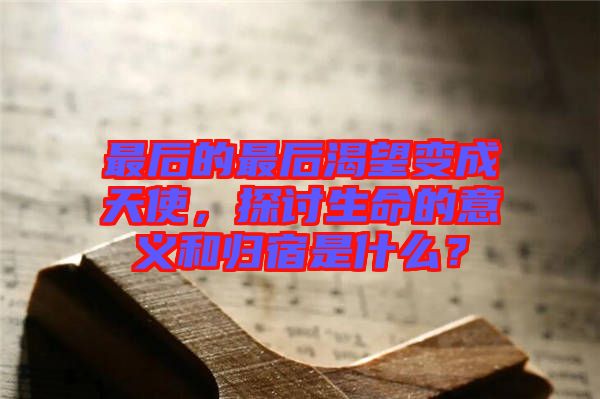 最后的最后渴望變成天使，探討生命的意義和歸宿是什么？