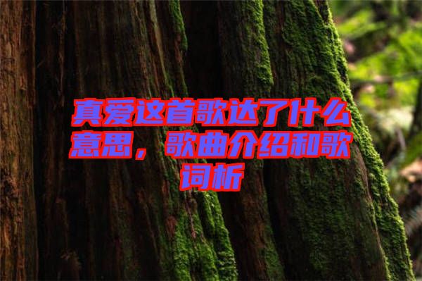 真愛這首歌達(dá)了什么意思，歌曲介紹和歌詞析
