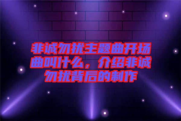 非誠勿擾主題曲開場曲叫什么，介紹非誠勿擾背后的制作
