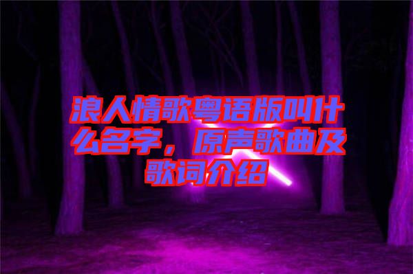 浪人情歌粵語版叫什么名字，原聲歌曲及歌詞介紹