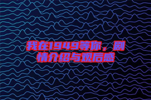 我在1949等你，劇情介紹與觀后感