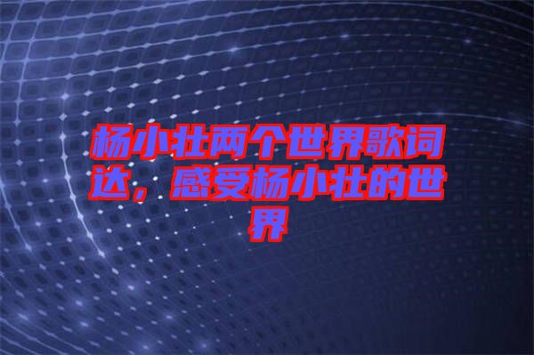楊小壯兩個(gè)世界歌詞達(dá)，感受楊小壯的世界