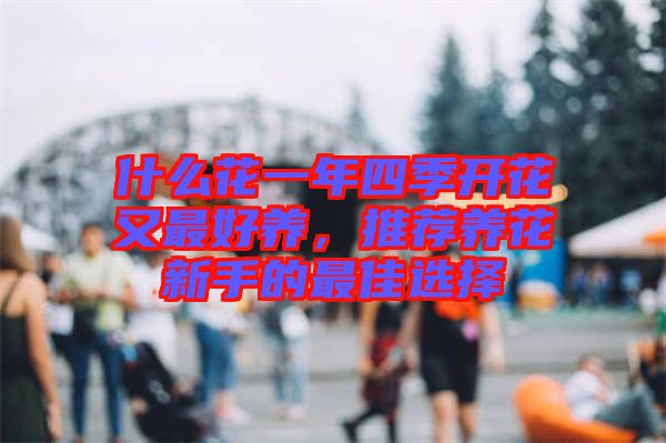什么花一年四季開花又最好養(yǎng)，推薦養(yǎng)花新手的最佳選擇