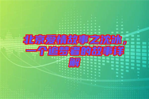 北京愛情故事之沈冰，一個(gè)追夢(mèng)者的故事詳解