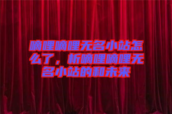 嘀哩嘀哩無名小站怎么了，析嘀哩嘀哩無名小站的和未來