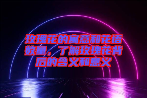 玫瑰花的寓意和花語數(shù)量，了解玫瑰花背后的含義和意義