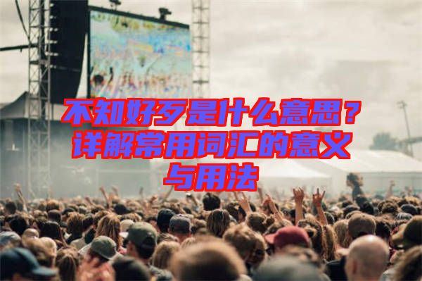 不知好歹是什么意思？詳解常用詞匯的意義與用法