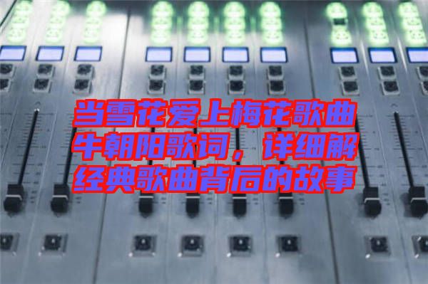 當(dāng)雪花愛上梅花歌曲牛朝陽歌詞，詳細(xì)解經(jīng)典歌曲背后的故事