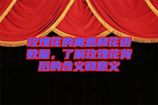 玫瑰花的寓意和花語數(shù)量，了解玫瑰花背后的含義和意義