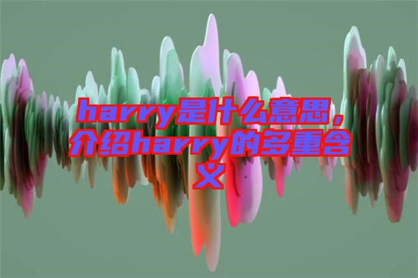 harry是什么意思，介紹harry的多重含義