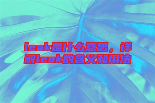 leak是什么意思，詳解leak的含義和用法