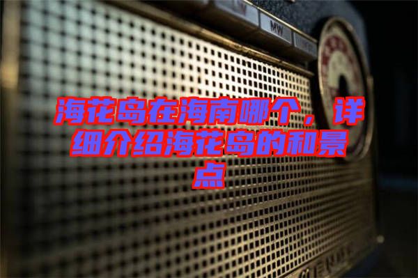 ?；◢u在海南哪個(gè)，詳細(xì)介紹?；◢u的和景點(diǎn)