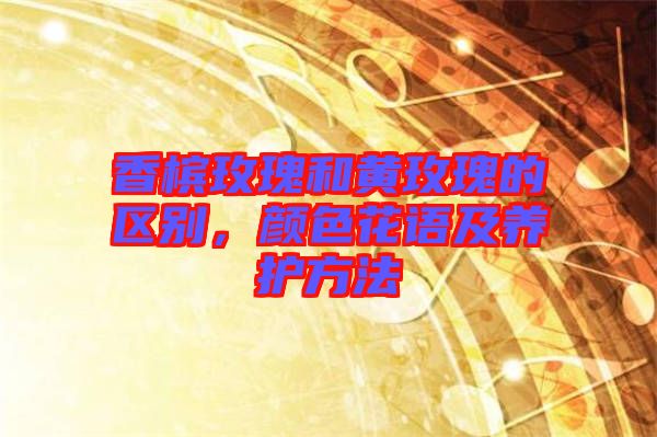 香檳玫瑰和黃玫瑰的區(qū)別，顏色花語及養(yǎng)護方法