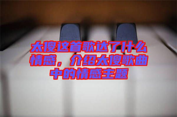 太傻這首歌達了什么情感，介紹太傻歌曲中的情感主題