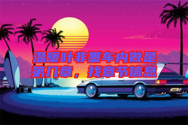溫暖葉非墨車內(nèi)做是第幾章，找章節(jié)信息
