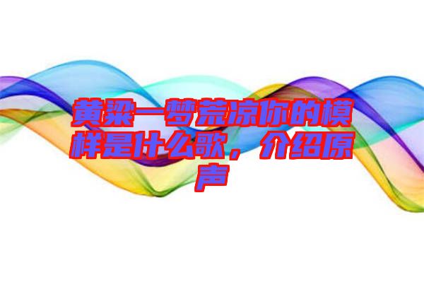 黃粱一夢(mèng)荒涼你的模樣是什么歌，介紹原聲