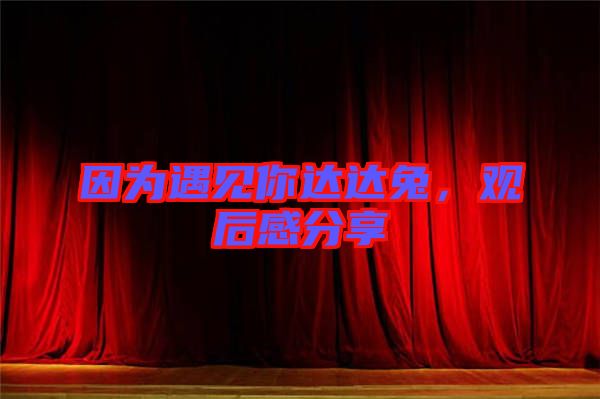 因?yàn)橛鲆娔氵_(dá)達(dá)兔，觀后感分享