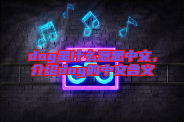 dog是什么意思中文，介紹dog的中文含義