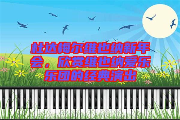 杜達(dá)梅爾維也納新年會(huì)，欣賞維也納愛(ài)樂(lè)樂(lè)團(tuán)的經(jīng)典演出