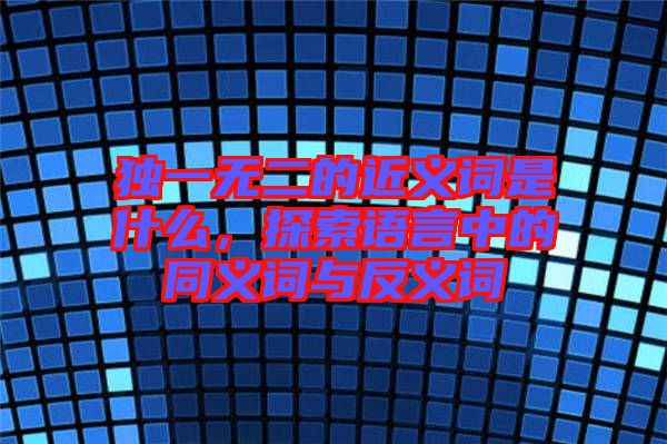 獨(dú)一無二的近義詞是什么，探索語言中的同義詞與反義詞