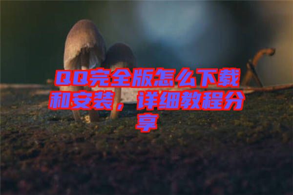 QQ完全版怎么下載和安裝，詳細(xì)教程分享