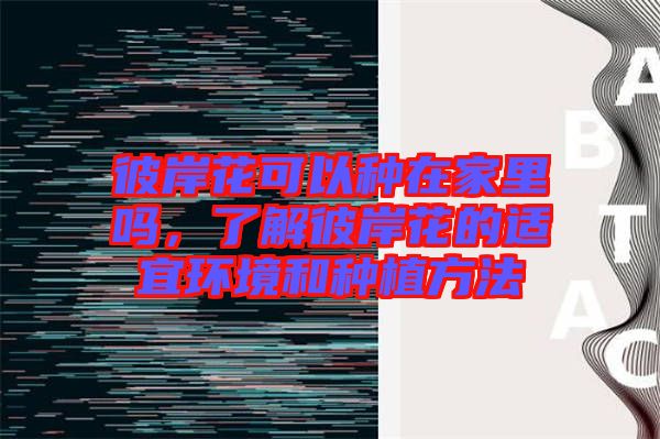 彼岸花可以種在家里嗎，了解彼岸花的適宜環(huán)境和種植方法