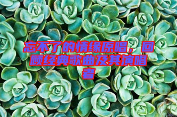 忘不了的情緣原唱，回顧經(jīng)典歌曲及其演唱者