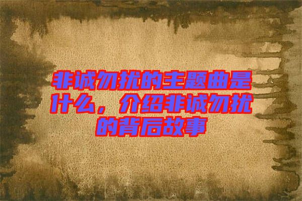 非誠勿擾的主題曲是什么，介紹非誠勿擾的背后故事