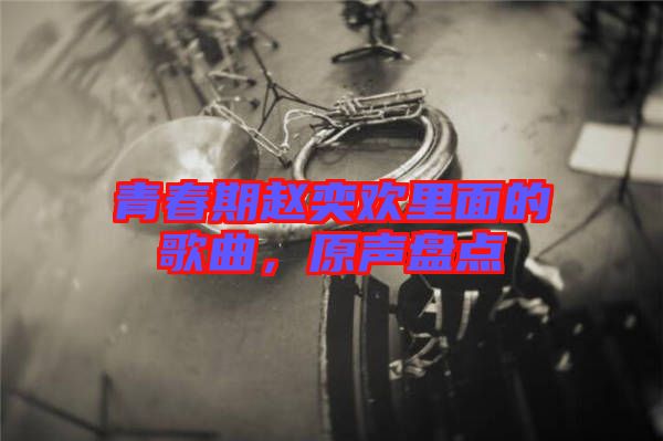 青春期趙奕歡里面的歌曲，原聲盤點(diǎn)