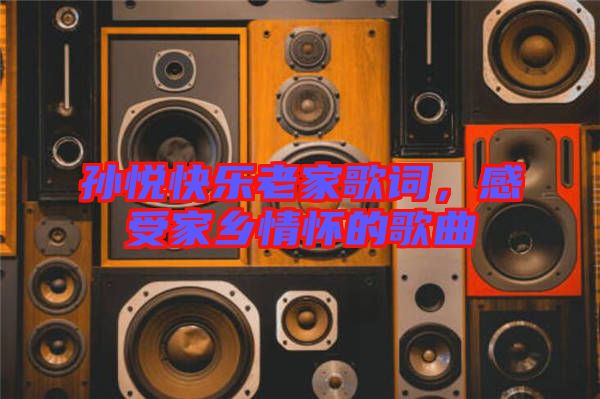 孫悅快樂老家歌詞，感受家鄉(xiāng)情懷的歌曲