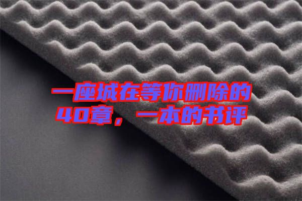 一座城在等你刪除的40章，一本的書評