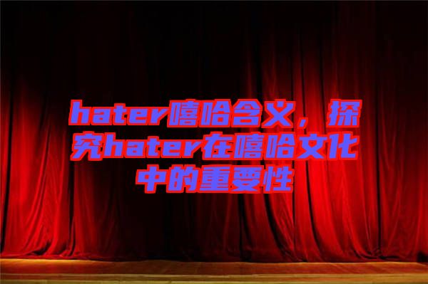 hater嘻哈含義，探究hater在嘻哈文化中的重要性