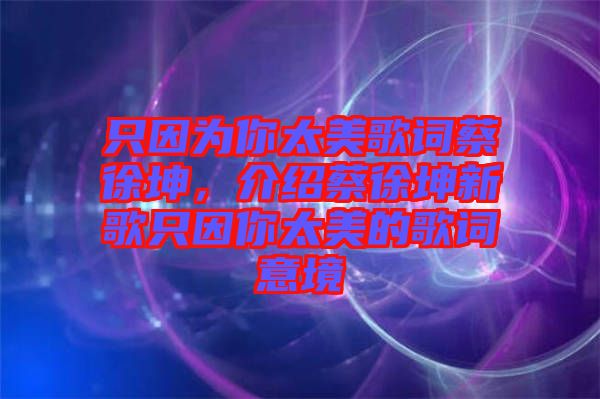 只因?yàn)槟闾栏柙~蔡徐坤，介紹蔡徐坤新歌只因你太美的歌詞意境