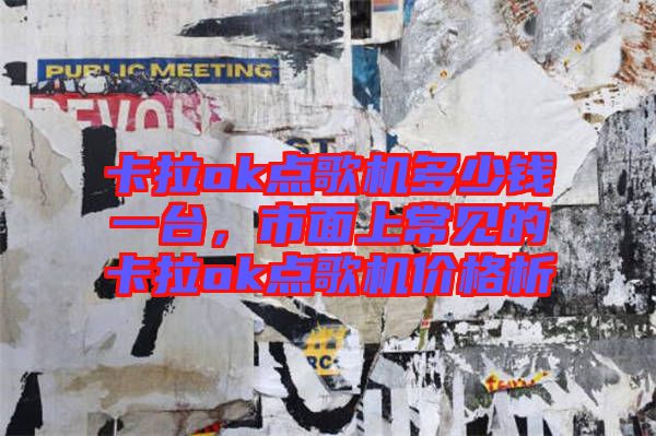 卡拉ok點歌機多少錢一臺，市面上常見的卡拉ok點歌機價格析