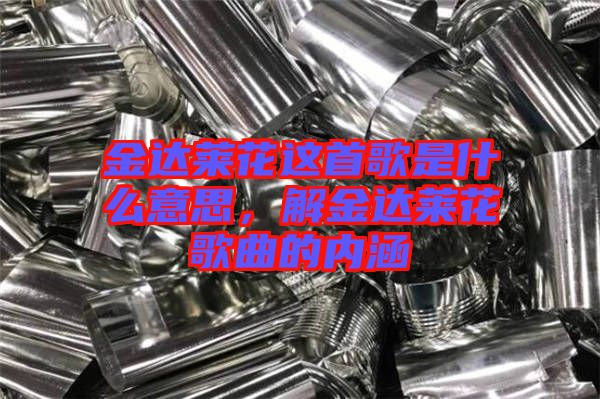 金達(dá)萊花這首歌是什么意思，解金達(dá)萊花歌曲的內(nèi)涵