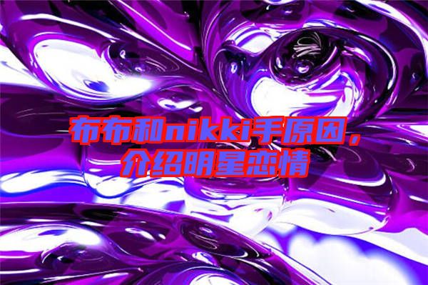 布布和nikki手原因，介紹明星戀情