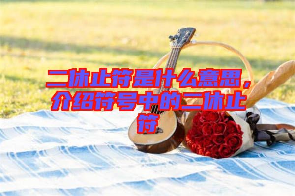 二休止符是什么意思，介紹符號(hào)中的二休止符